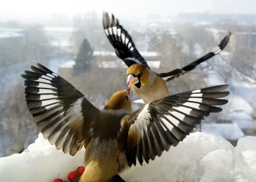 Photograph by ВАСИЛИЙ