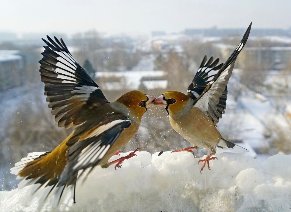 Photograph by ВАСИЛИЙ