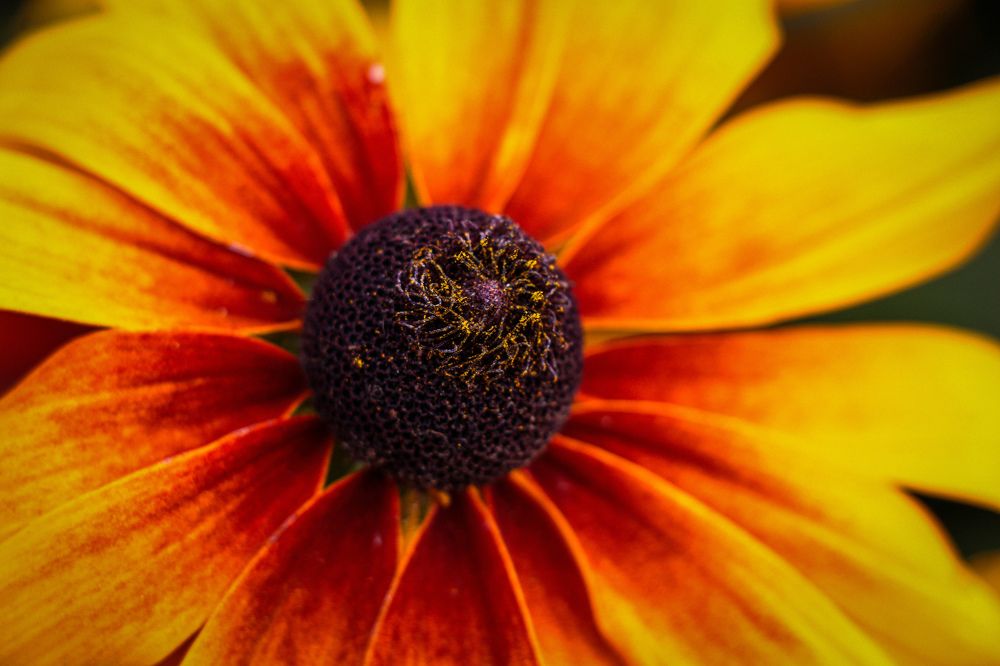 Photograph by Мария Пояскова