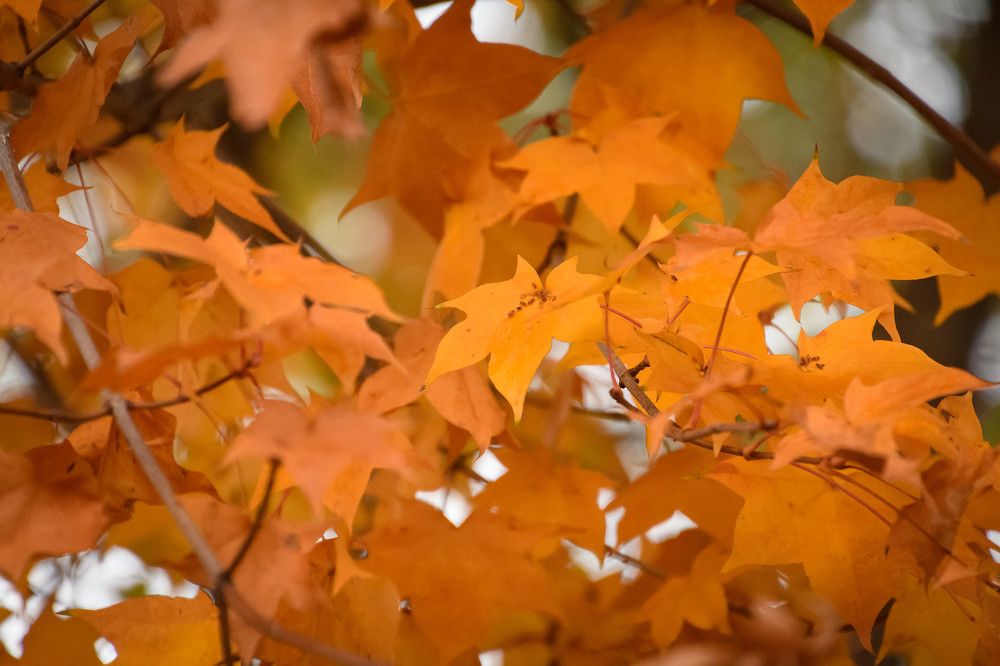 Photograph by Олег Волков