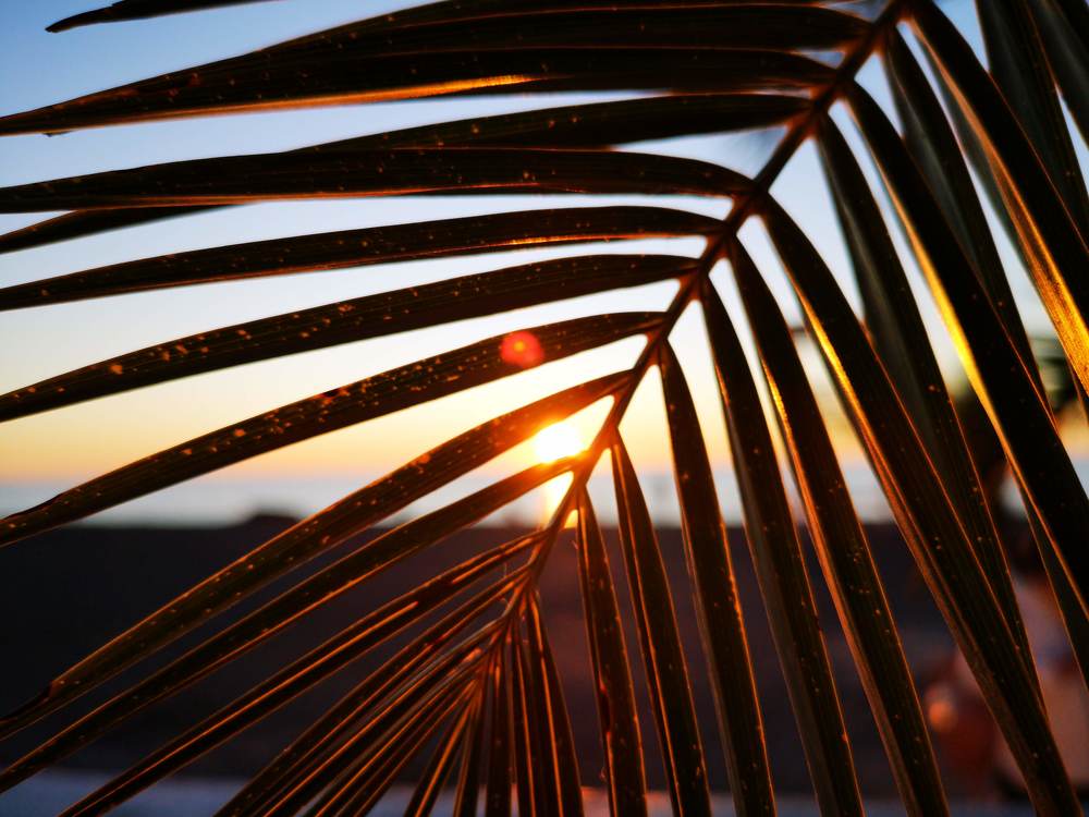 Photograph by Кристина