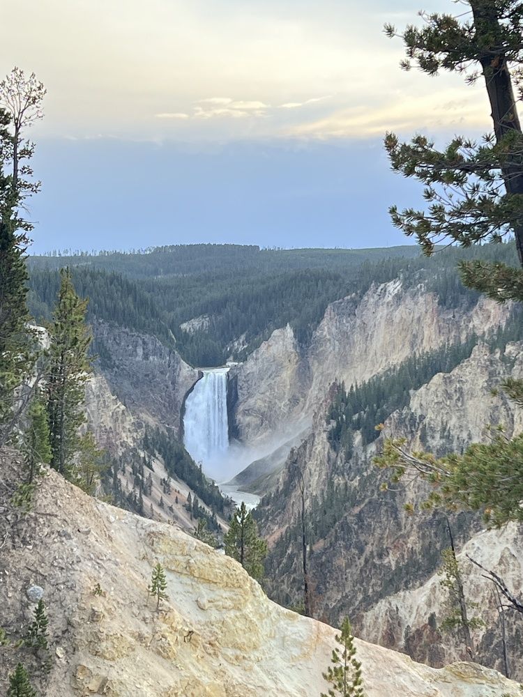 Фотография автора Diana