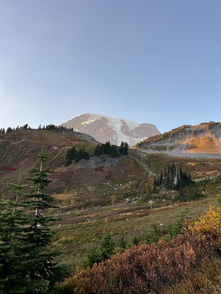 Фотография автора Diana