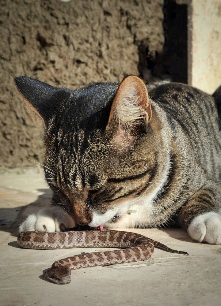 Photograph by Tatiana Kirillova