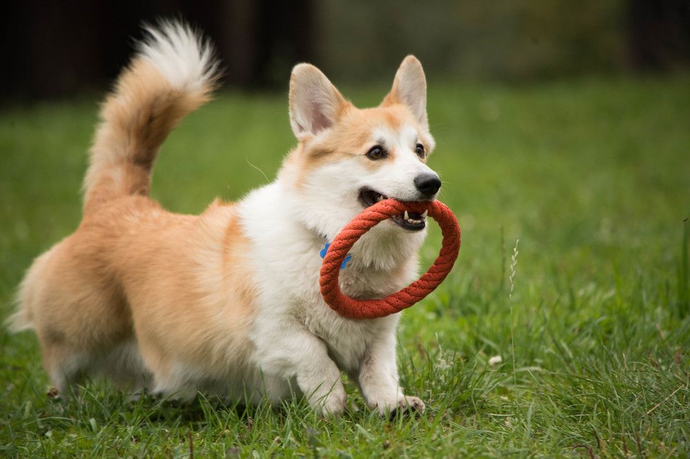 Photograph by Наталья Сорокина