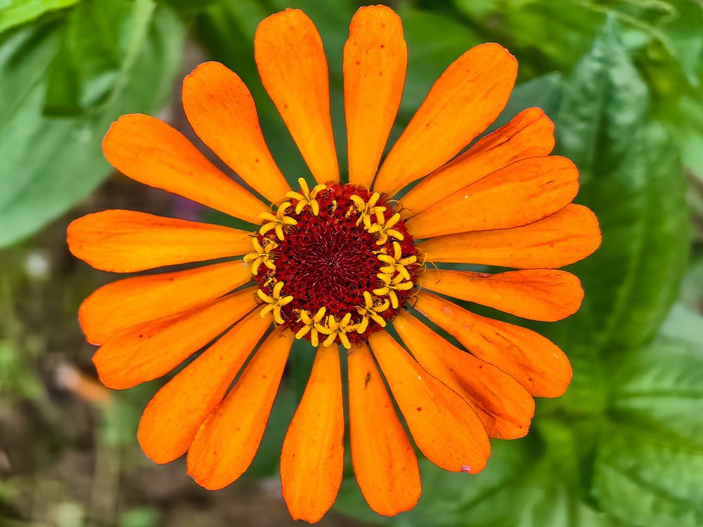 Photograph by Сергей Игнатьев