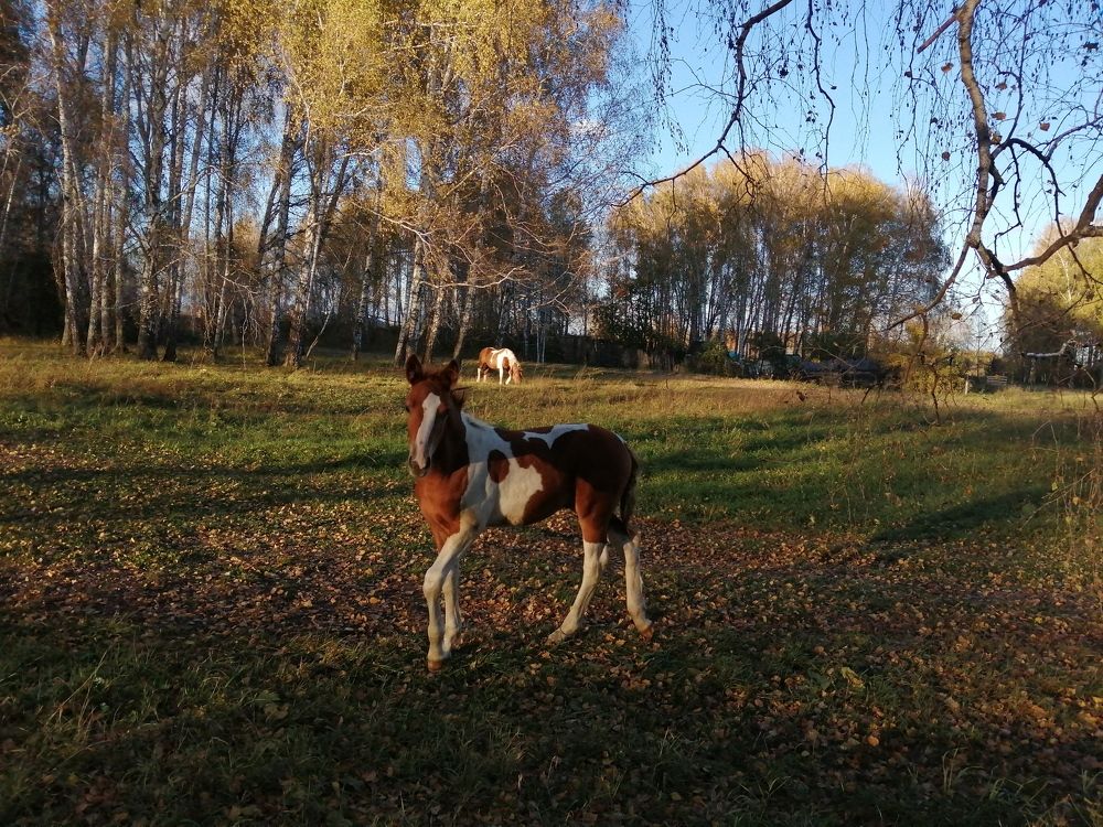 Photograph by Галина Попова