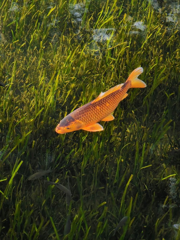 Photograph by Игорь Крыжко