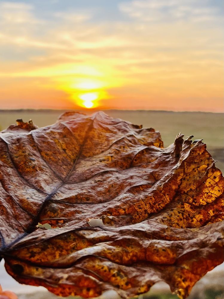 Photograph by Ольга Белоусова