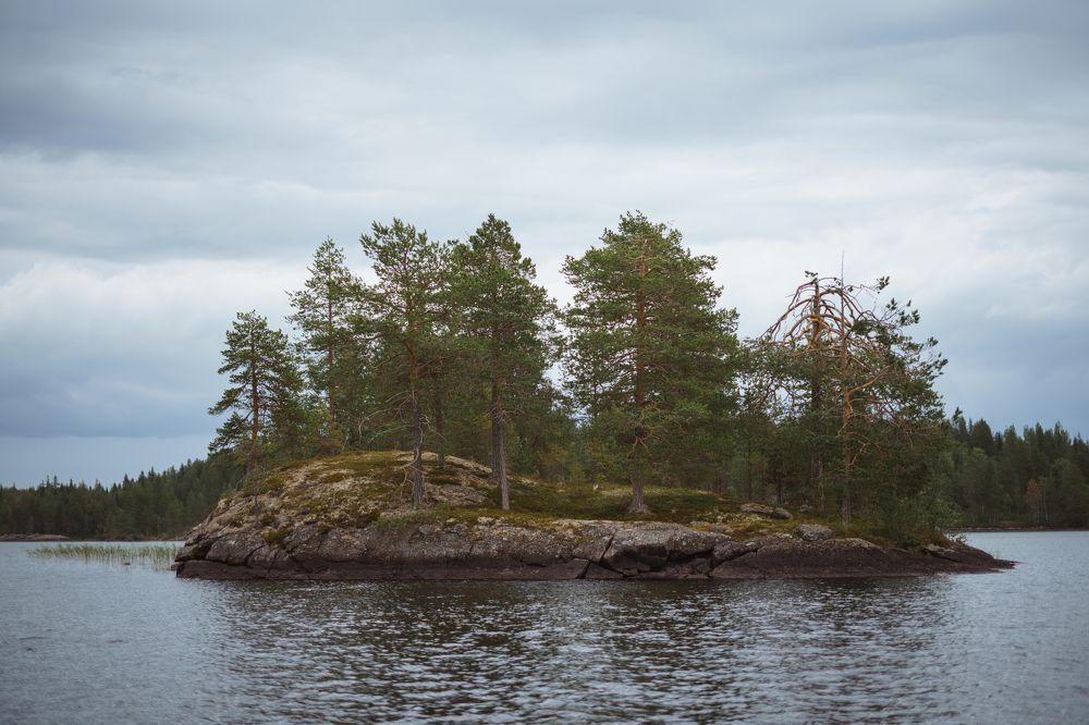 Photograph by Наталья Меснянкина