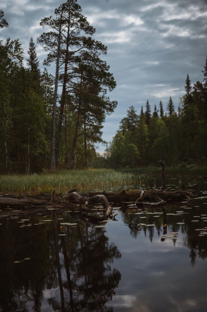 Photograph by Наталья Меснянкина