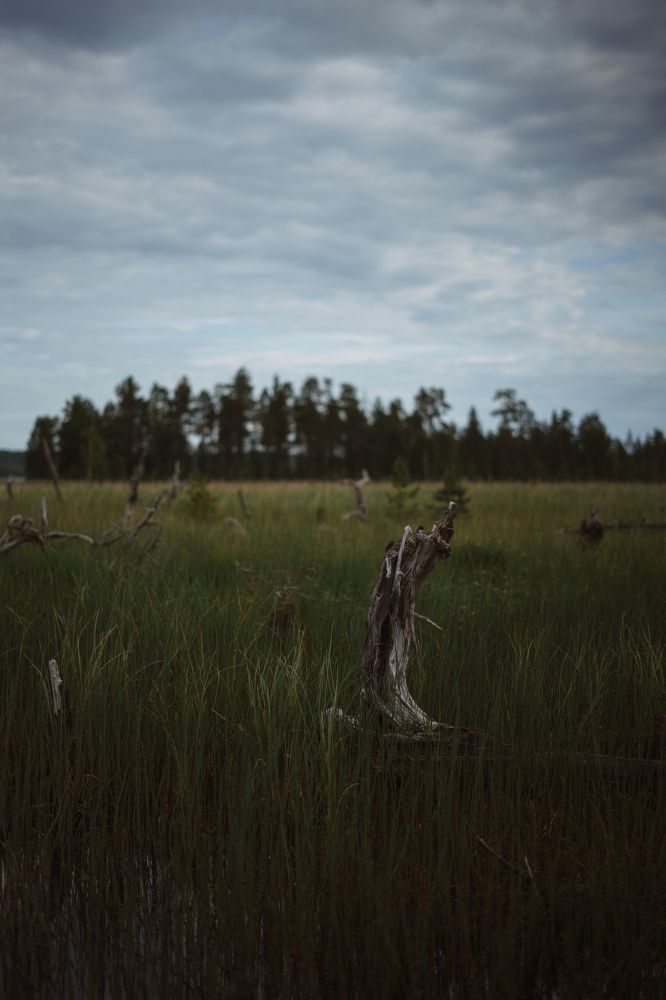 Photograph by Наталья Меснянкина