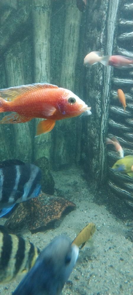 Photograph by Людмила Липаткина