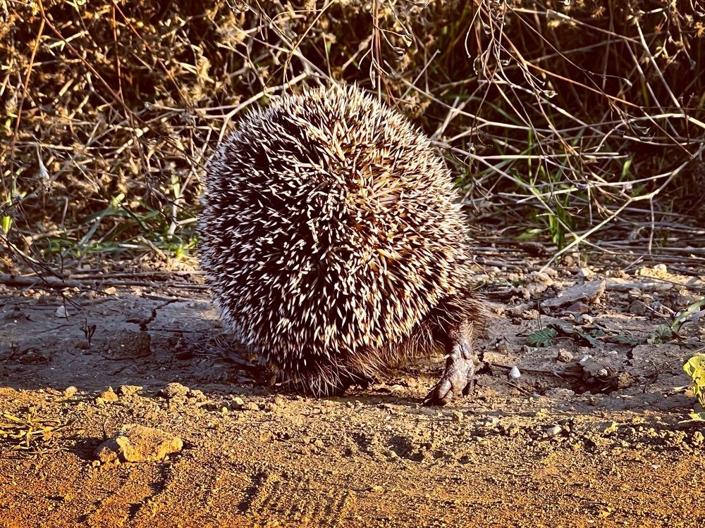 Фотография автора Мария