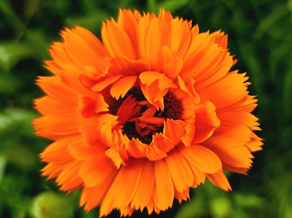 Photograph by Анна Семенова