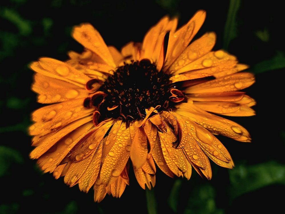 Photograph by Анна Семенова