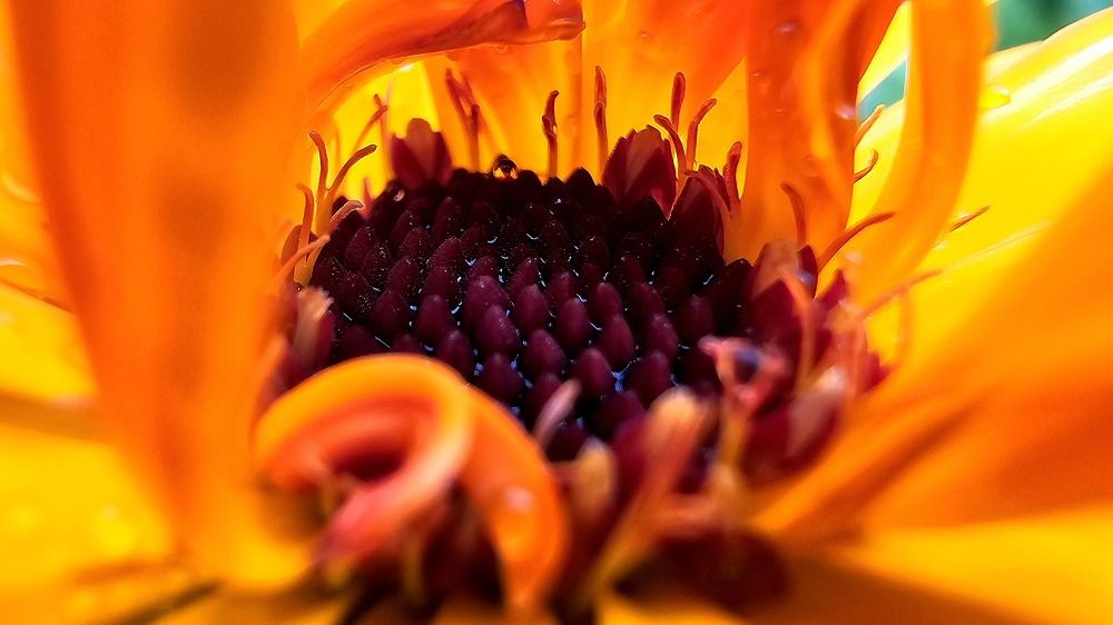 Photograph by Анна Семенова