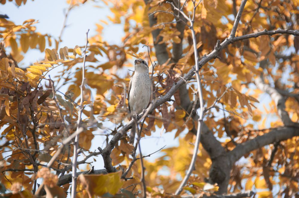 Фотография автора Мария