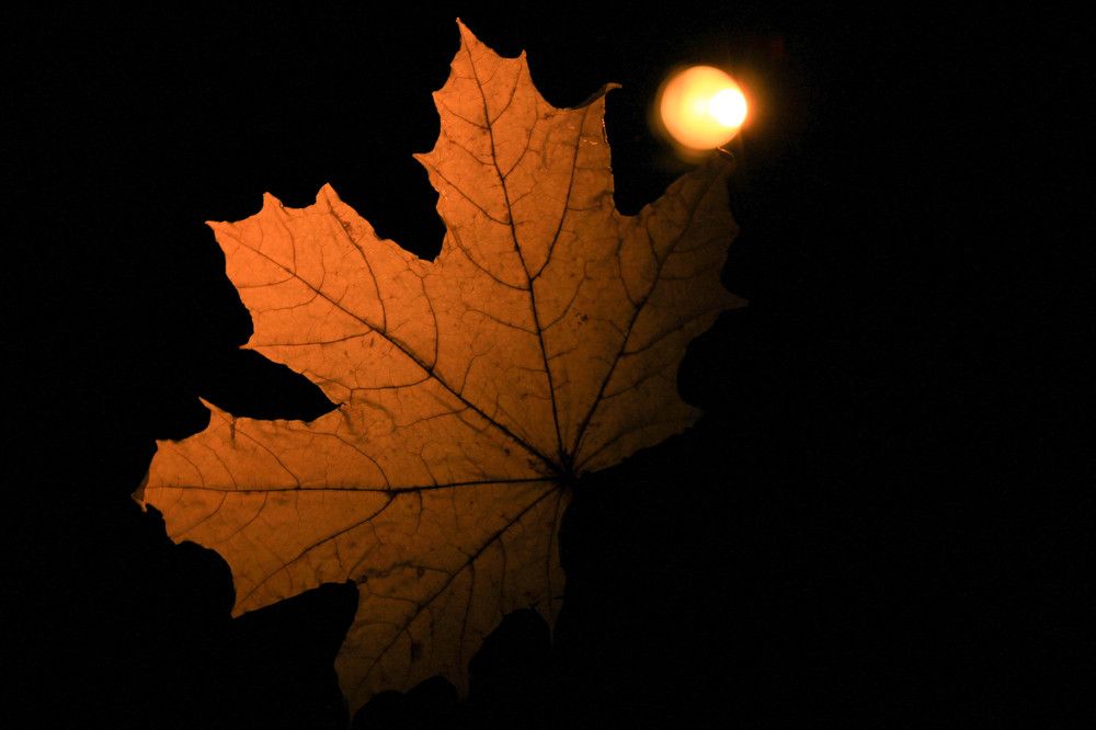 Photograph by Любовь Иванова