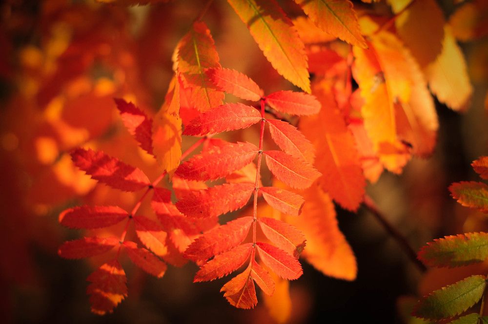 Photograph by Любовь Иванова