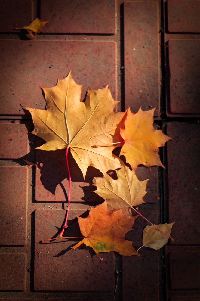 Photograph by Любовь Иванова