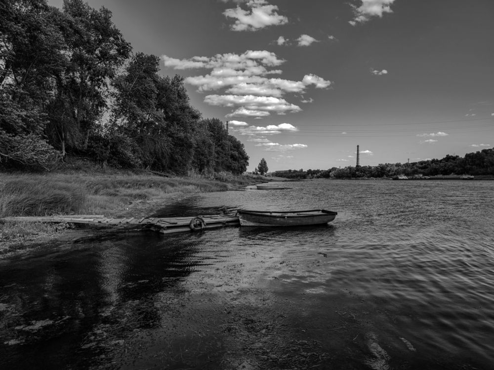 Photograph by Ирина Шибитова