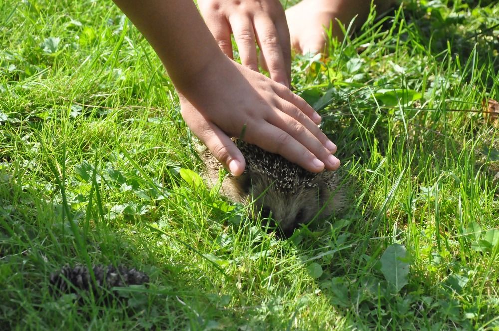 Photograph by Виктория Образцова