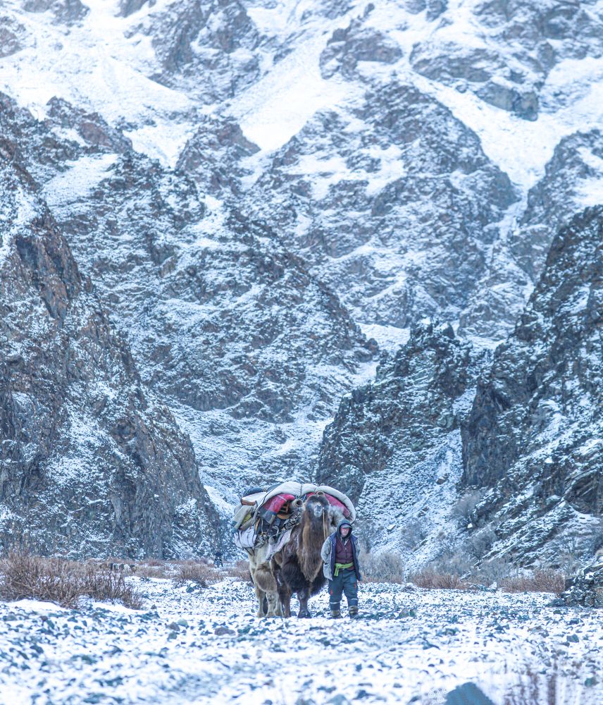 nomadic Mongolia