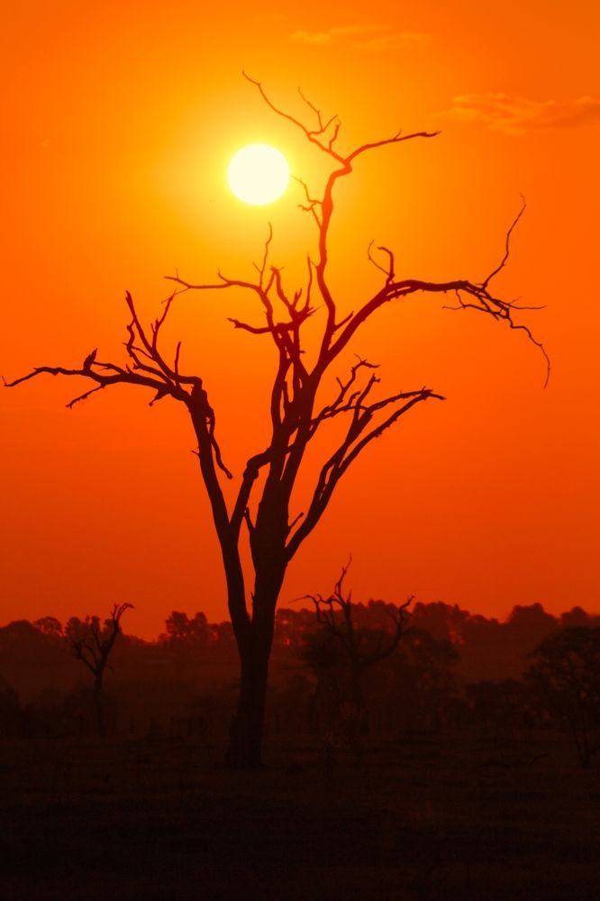 Photograph by Régis Santos