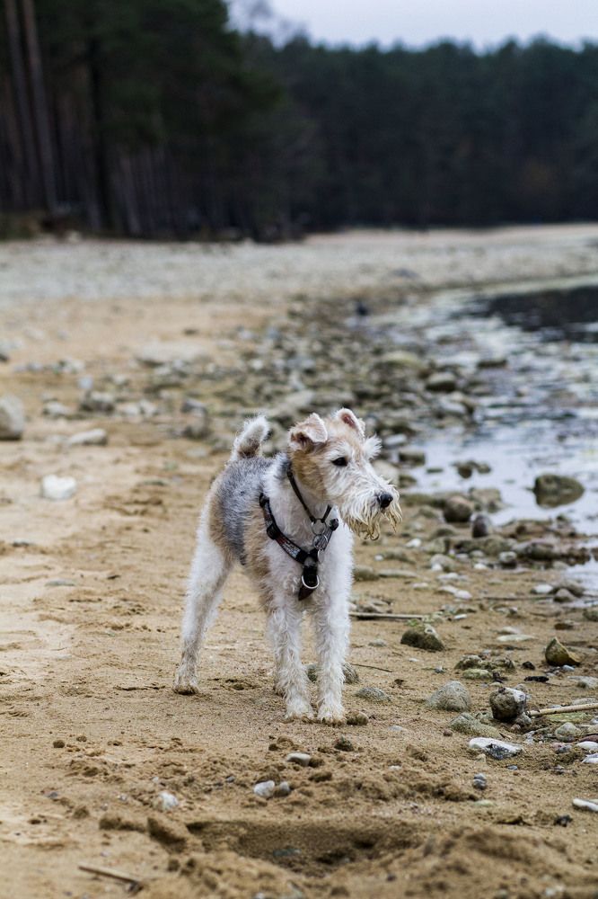 Photograph by Майя Чехова