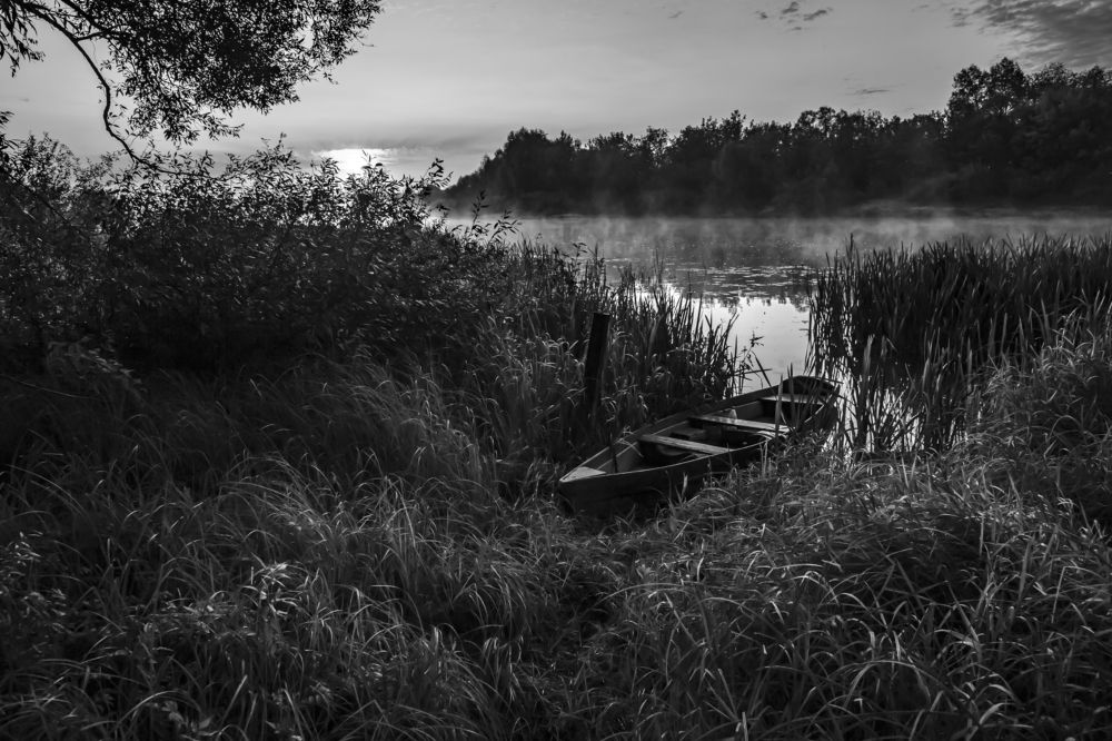 Утро на речке