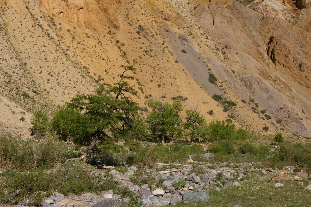 Photograph by Елена Алешкевич