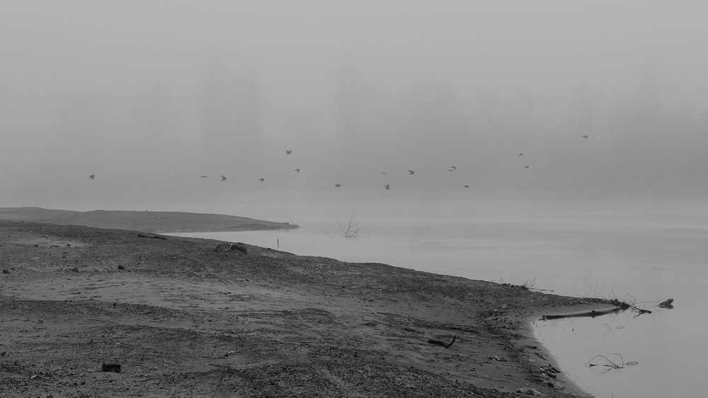 Фотография автора Вадим Коваленко