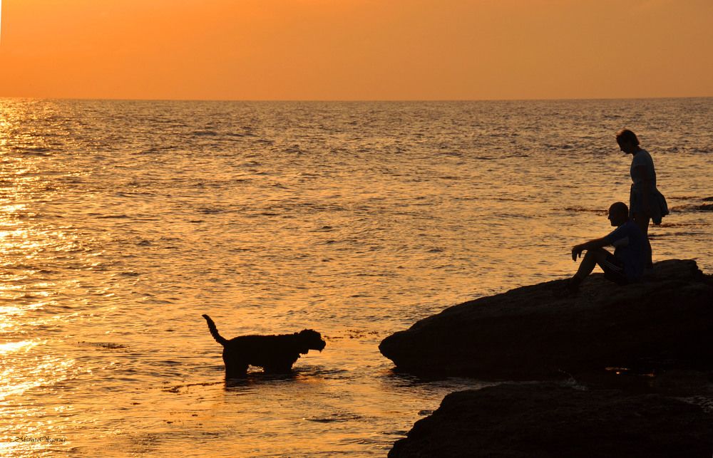 Фотография автора Мария