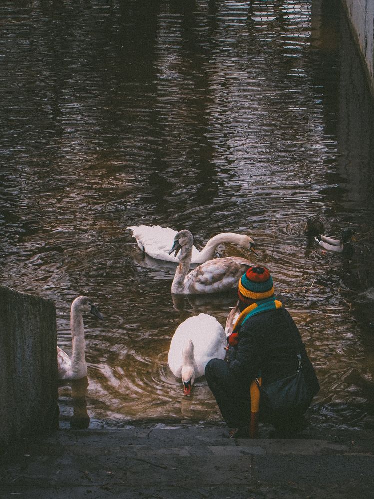 Photograph by Игорь Сухаревич