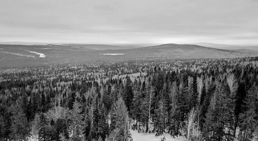 Photograph by Ольга Тимофеева