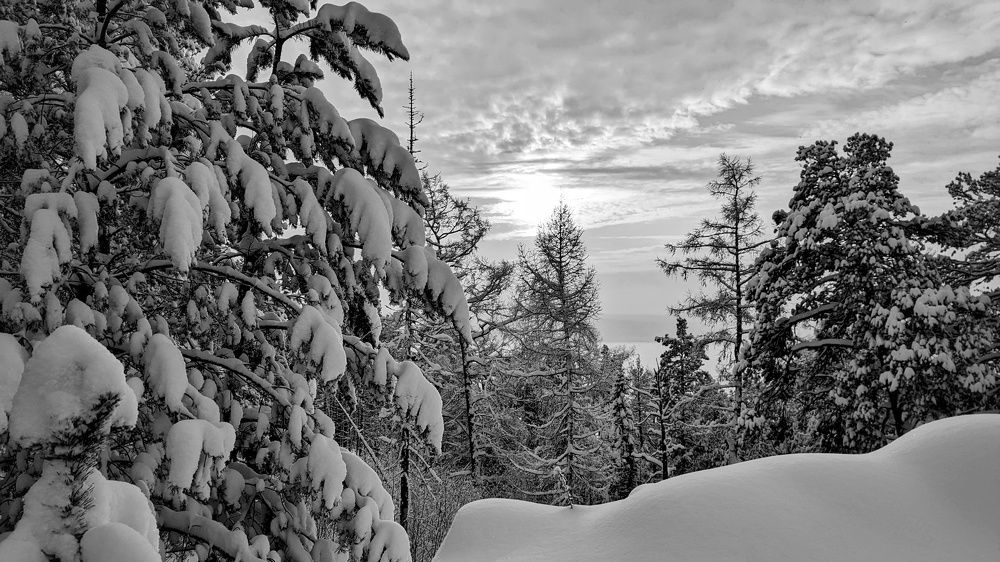 Photograph by Ольга Тимофеева