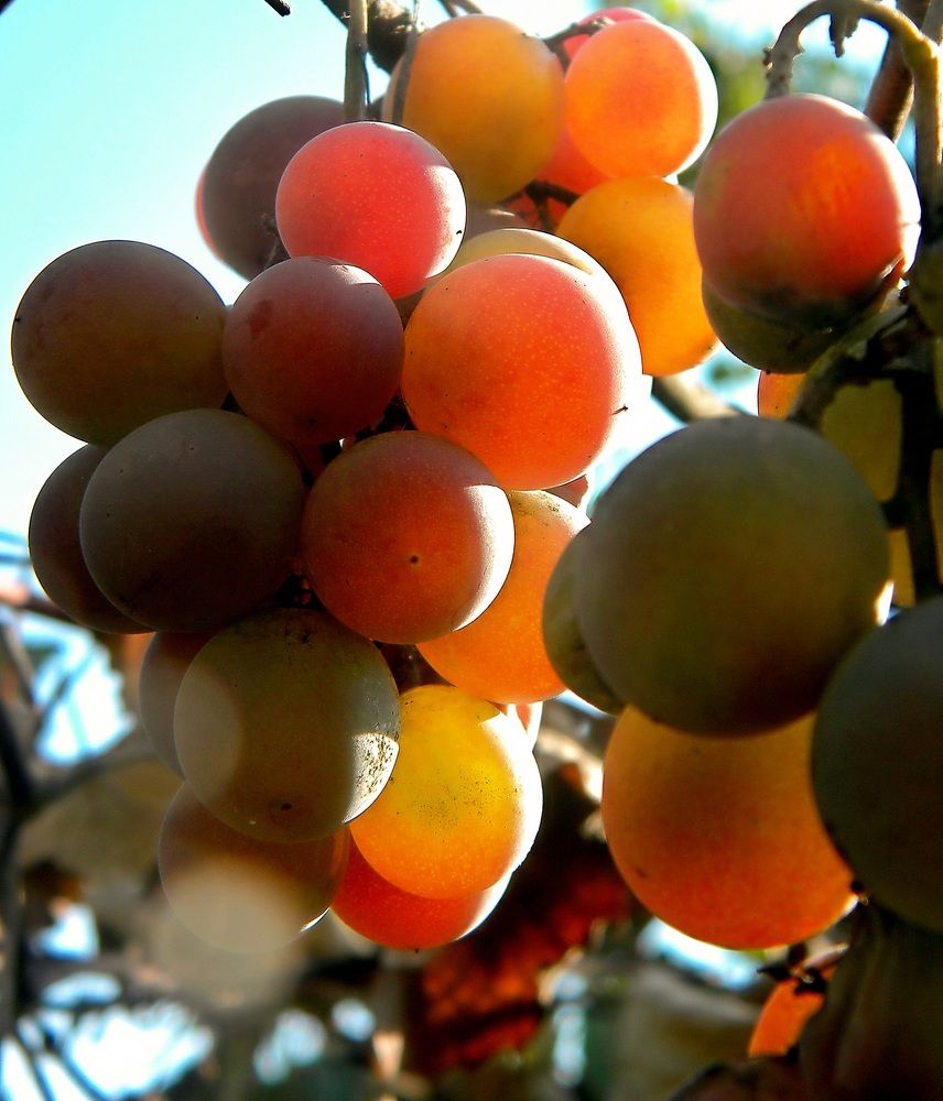 Photograph by Савоцкий Роман