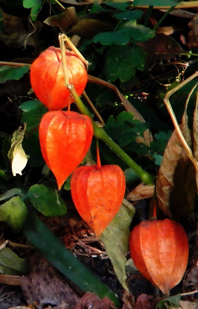 Photograph by Савоцкий Роман