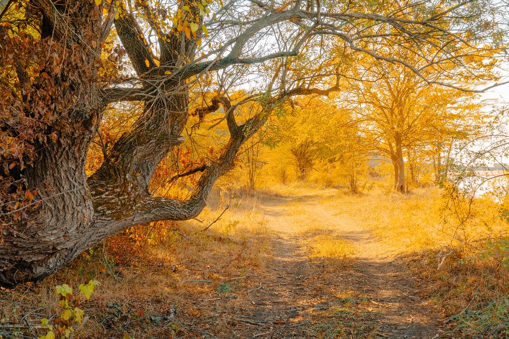 Фотография автора Вадим Коваленко