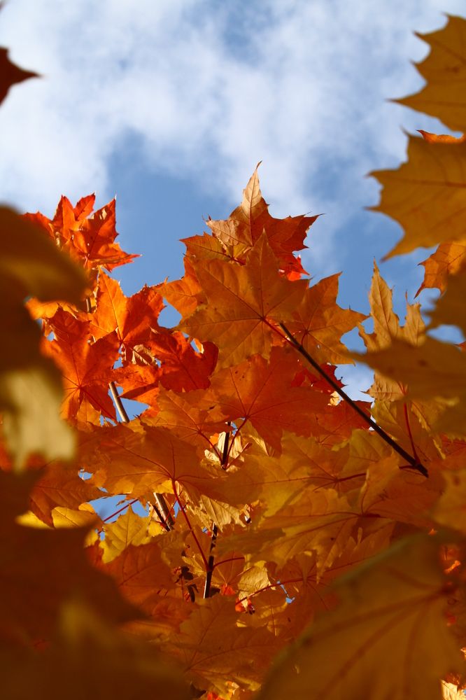 Photograph by Анастасия Свиридова