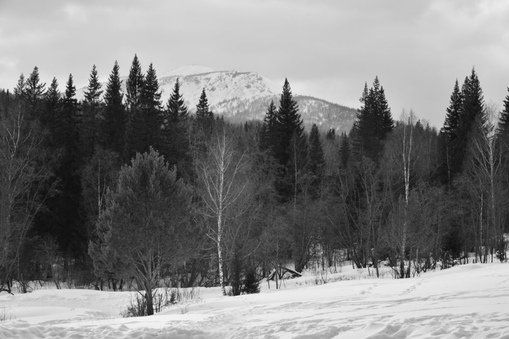 Photograph by Ксения Харлапина
