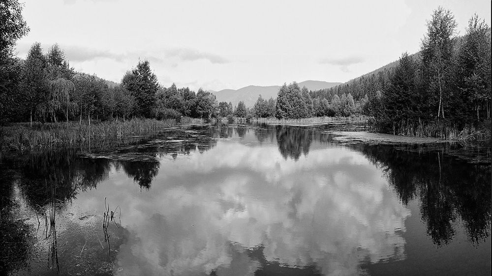 Photograph by Савоцкий Роман