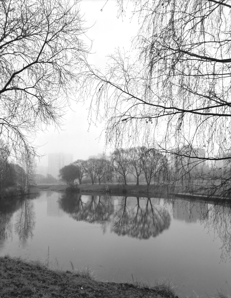 Photograph by Татьяна