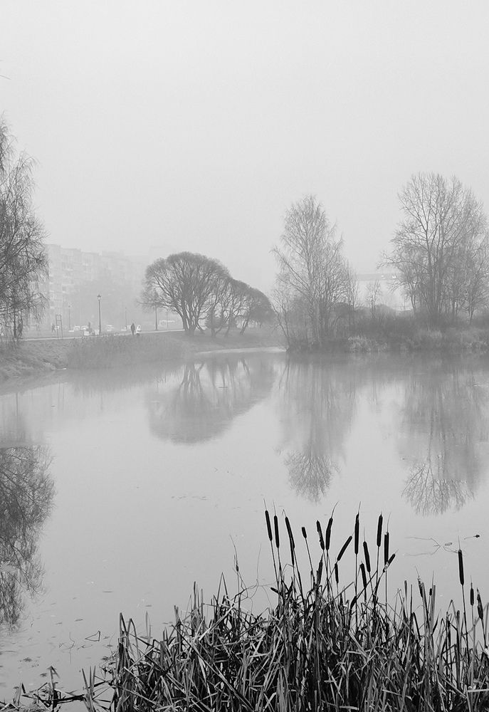 Photograph by Татьяна