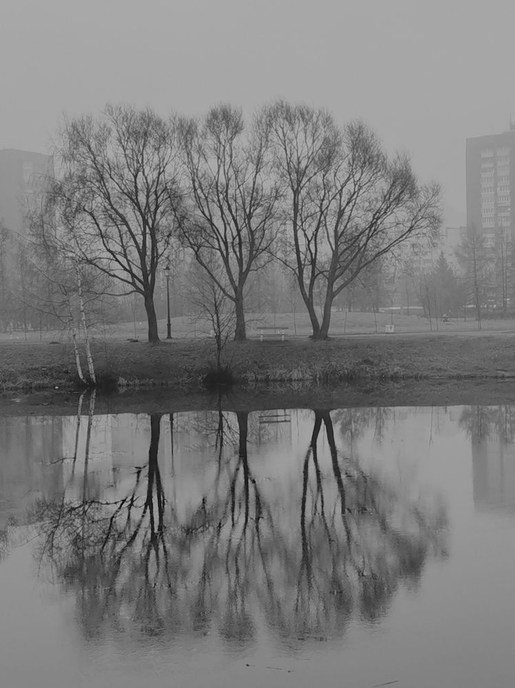 Photograph by Татьяна