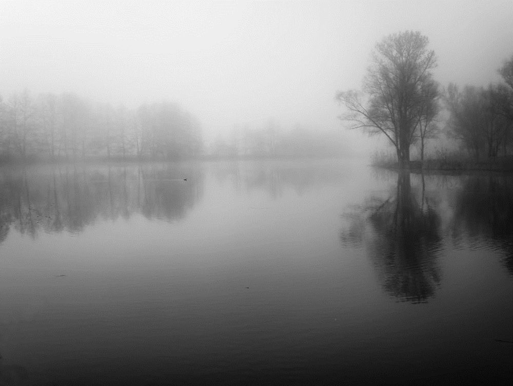 Фотография автора Роман Савоцкий