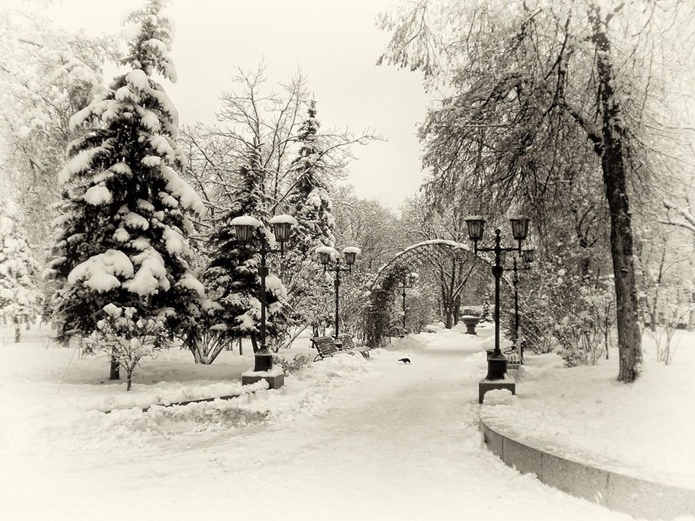 Фотография автора Роман Савоцкий