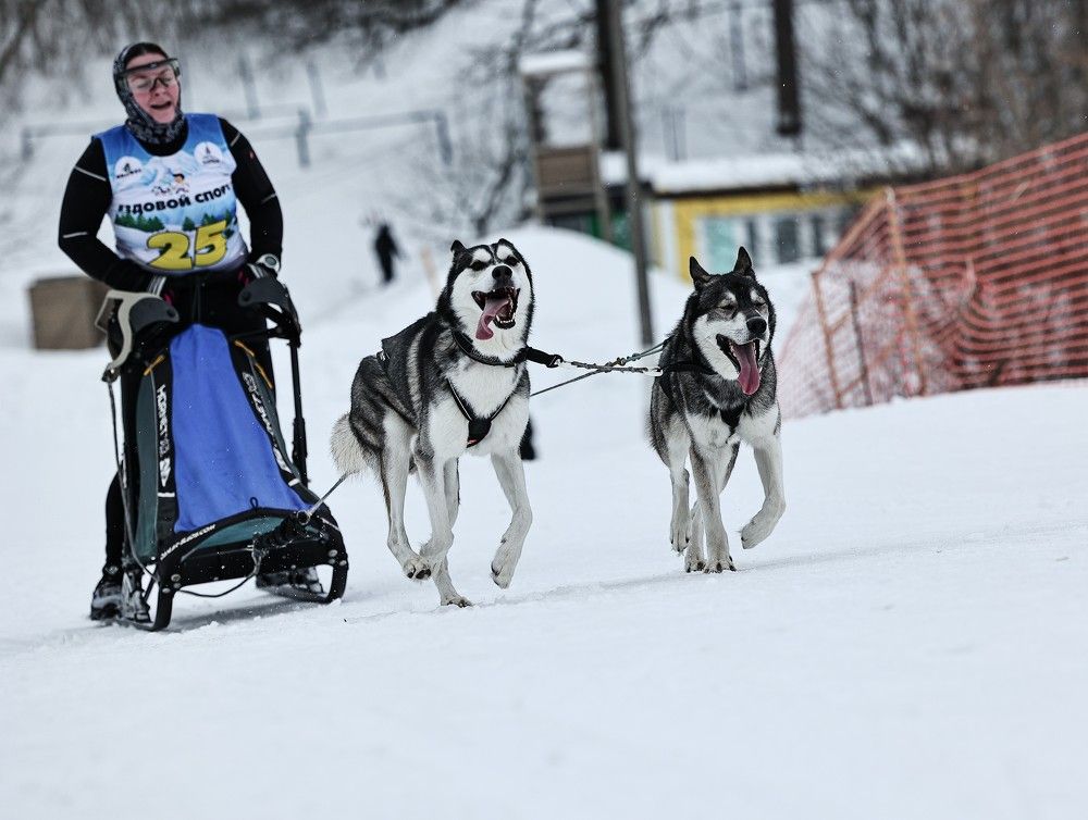 Photograph by Елена Одынец