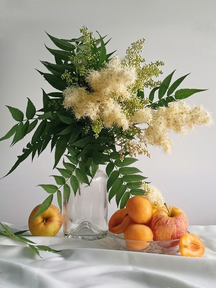 Фотография автора Татьяна Шахова